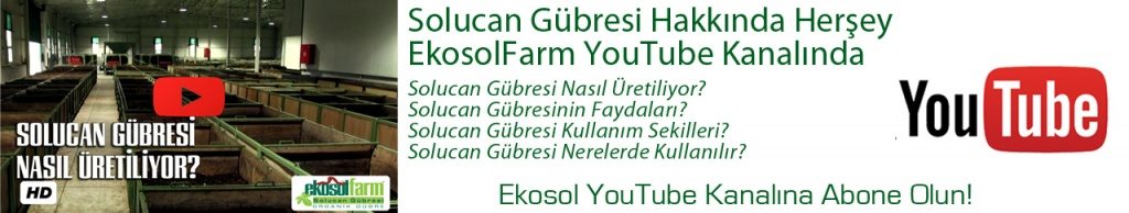 ekosol youtube kanalı