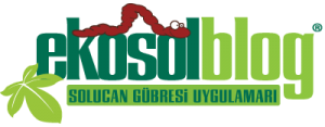 EkosolBlog logo