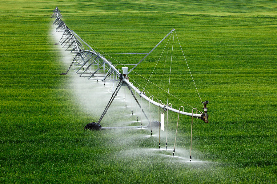 buğday pivot irrigation sistemler